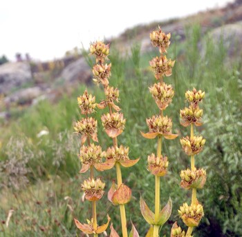 Photo n° 20 of the location