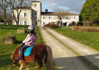 Au Clos de Bellevue Suite nuptiale SEABISCUIT