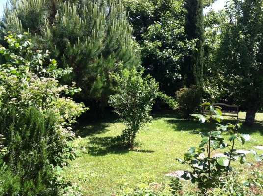 Photo n° 6 of the location