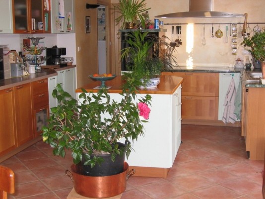 Photo n° 6 de la location