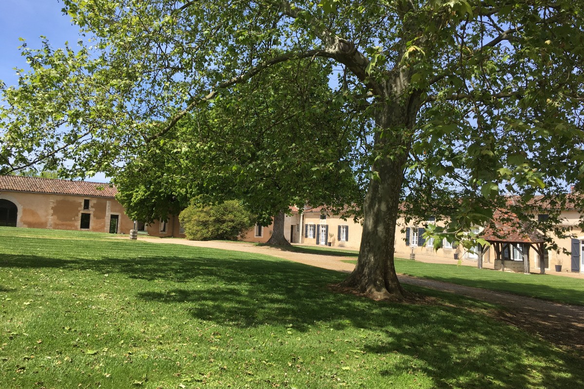 Photo n° 17 of the location