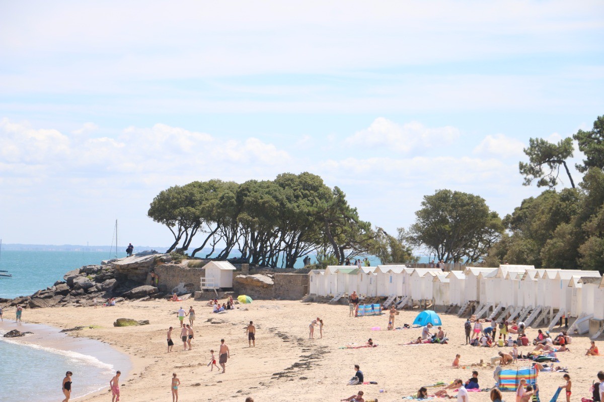 Photo n° 12 de la location