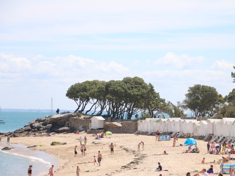 Photo n° 12 de la location