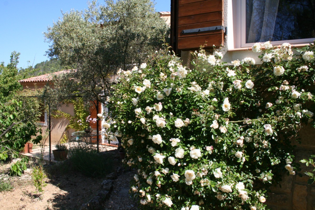 Photo n° 18 of the location