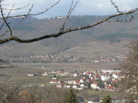 Wintzenheim vue vers Turckheim & LES 3 ÉPIS