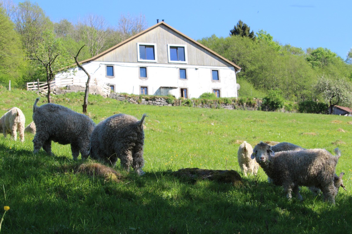 Ferme Sous les Hiez - Chambre Bluet à la ferme sous les Hiez à Cornimont
