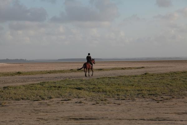 Photo n° 16 of the location