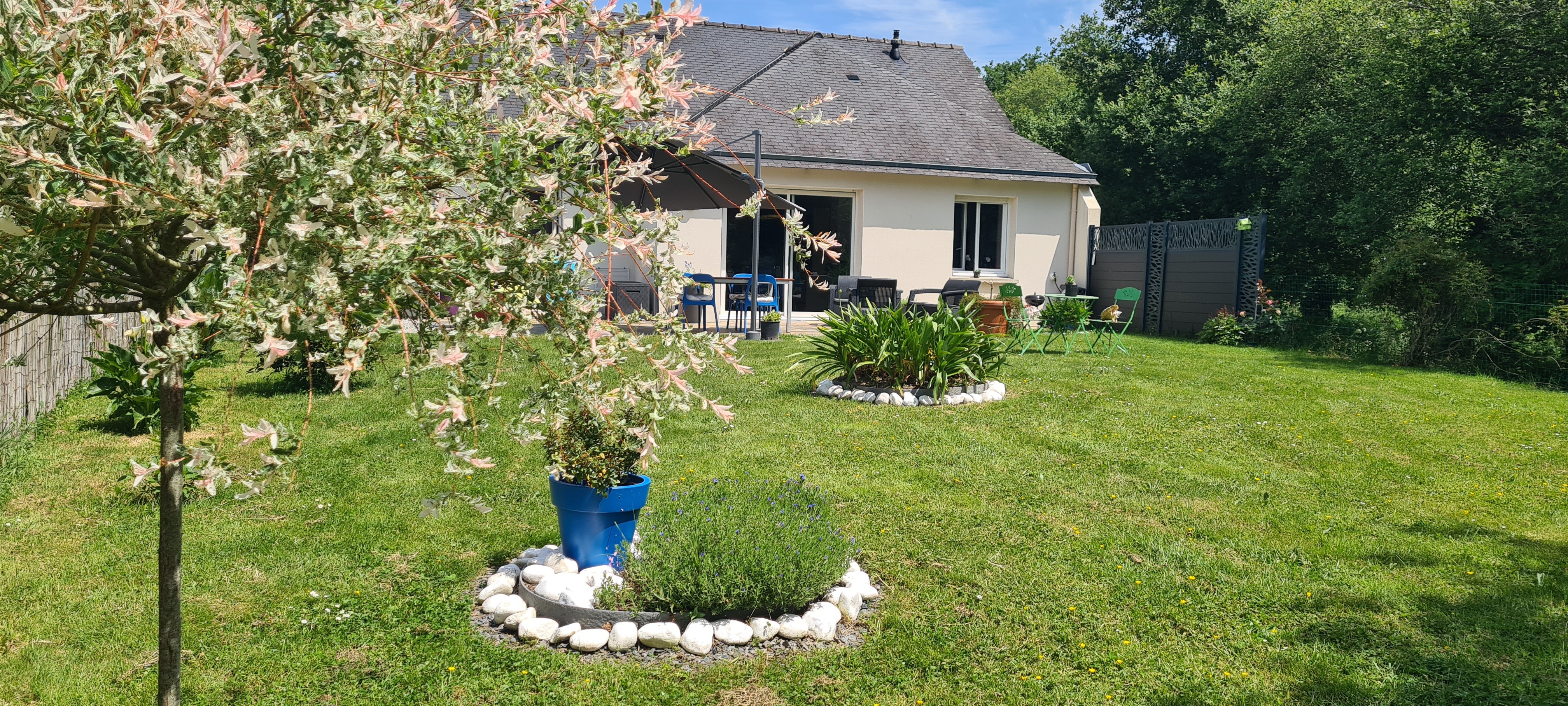 Image n° 2 de la location