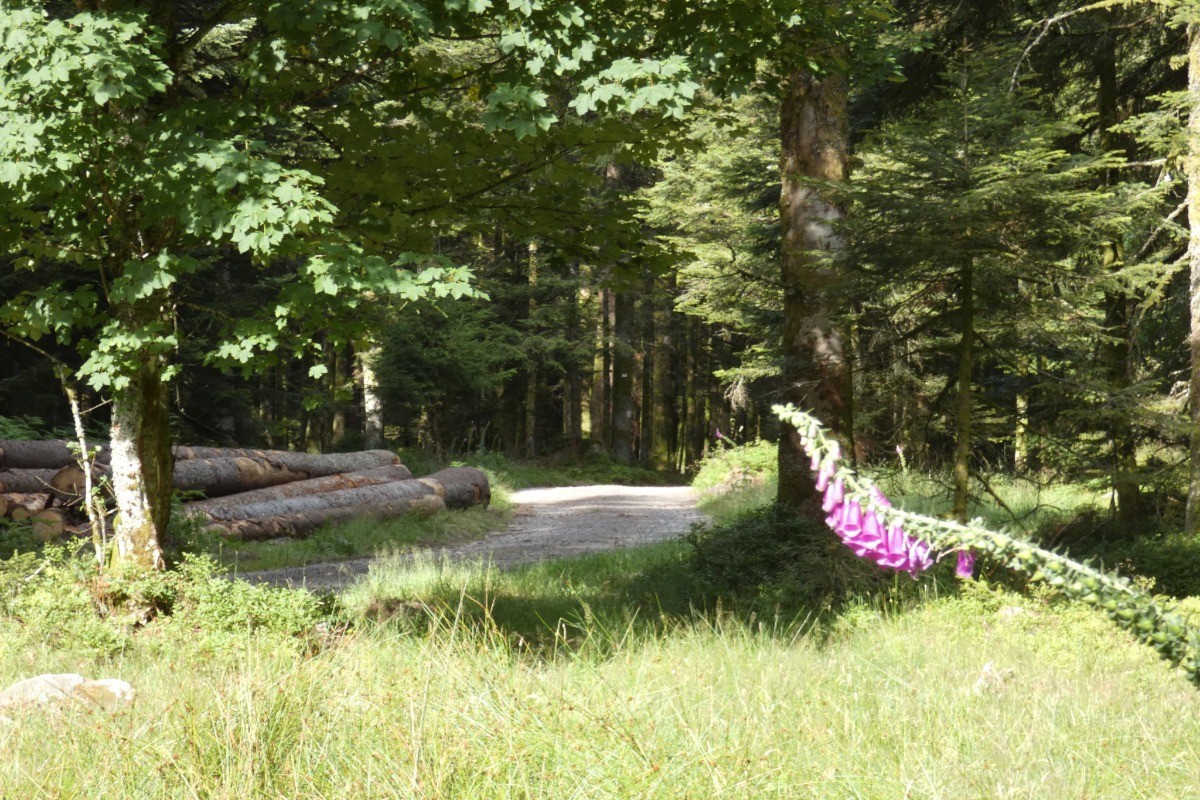The same route as your next hike,