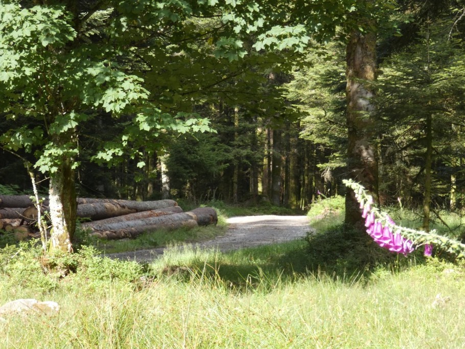 The same route as your next hike,