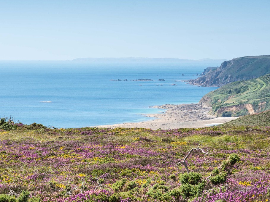 Photo n° 2 de la location