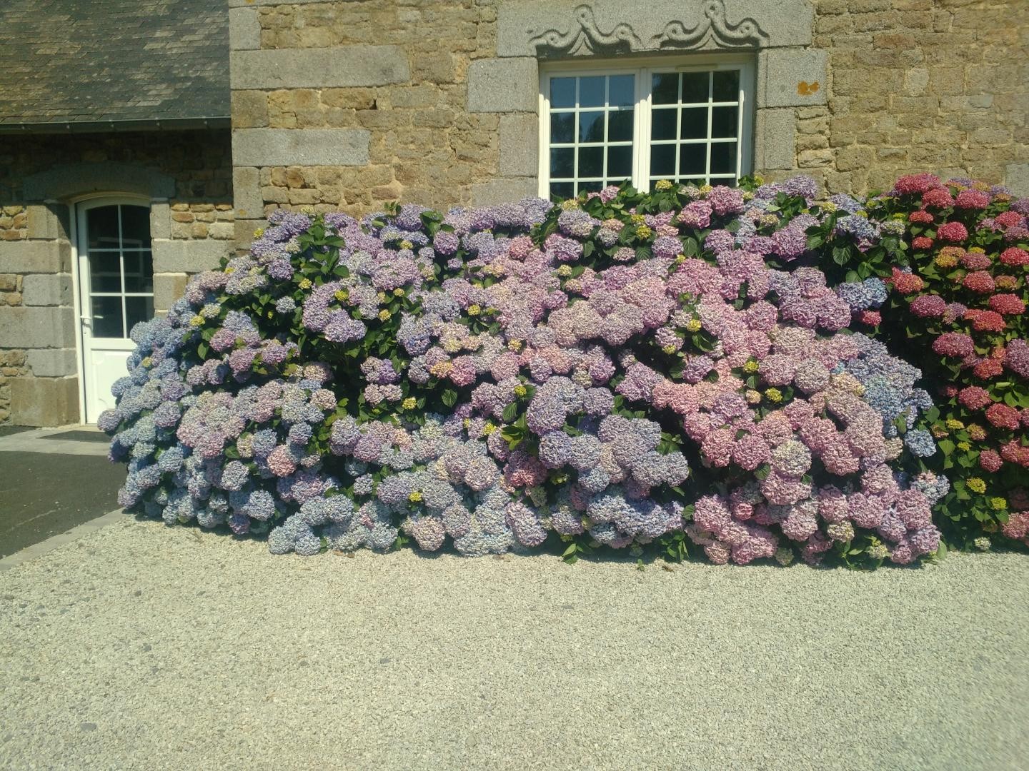 Photo n° 16 of the location