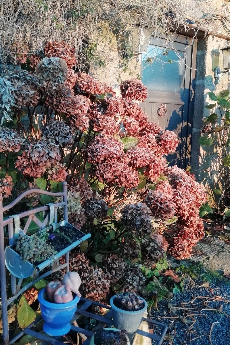 Photo n° 19 of the location