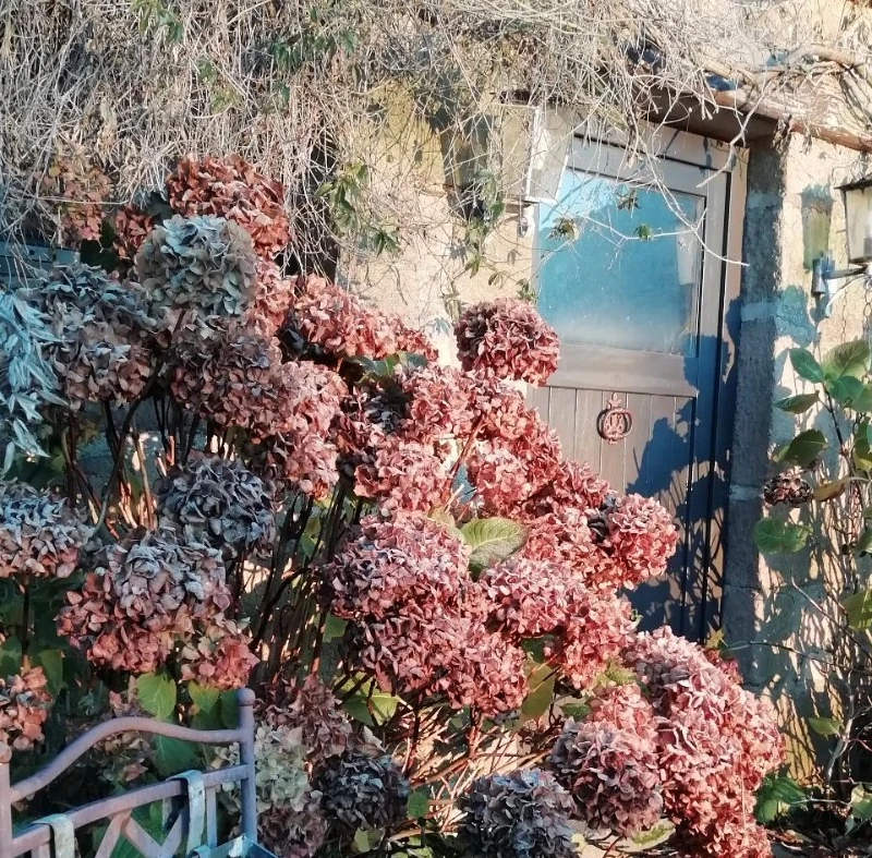 Photo n° 19 of the location