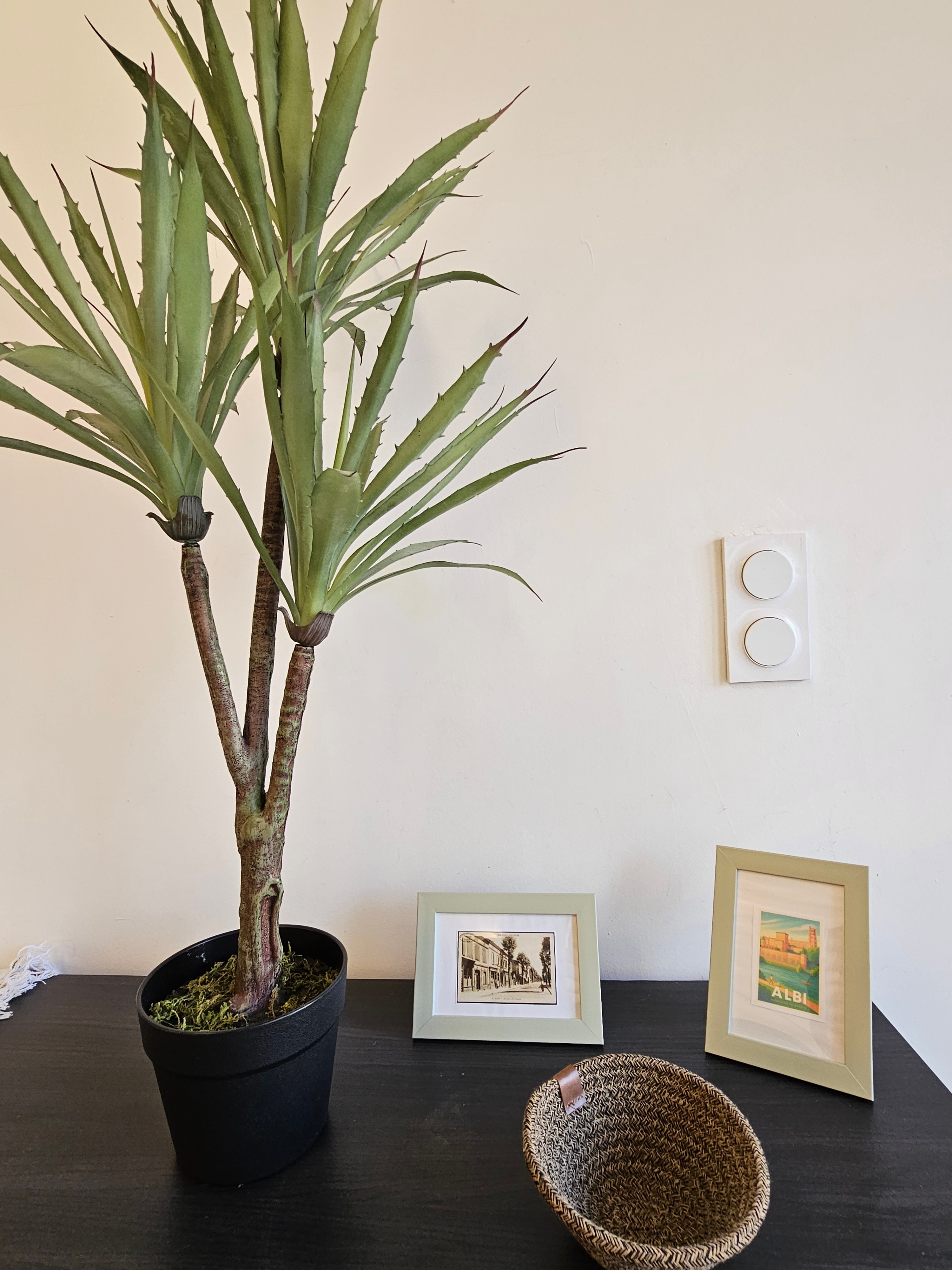 Gîte la Passerelle - Albi dans le Tarn en Occitanie
