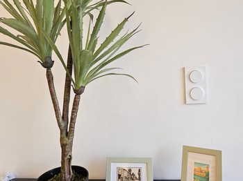 Gîte la Passerelle - Albi dans le Tarn en Occitanie