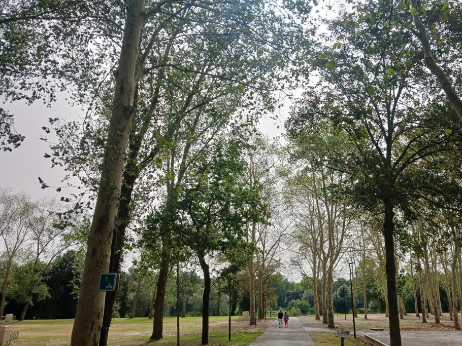Parc proche de la Garonne et sa voie verte au bout de la rue