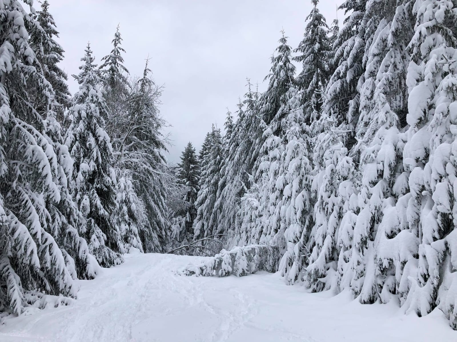 Hiver à Gérardmer