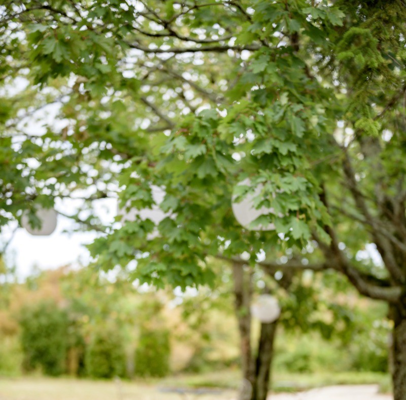 Un endroit pour manger, relaxer au domaine