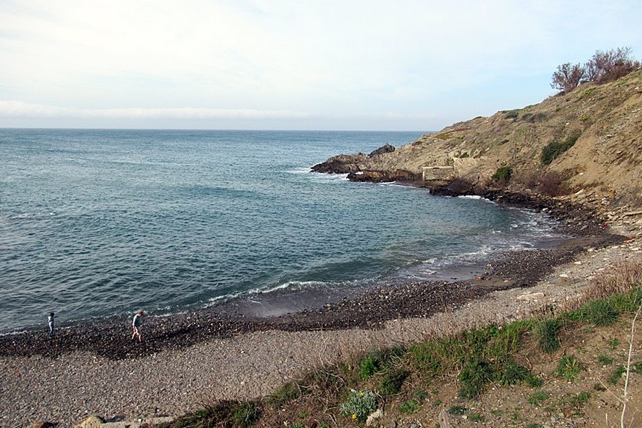Plage de l huile accessible a pied  depuis l' appartement