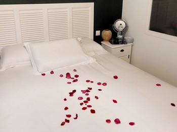 Photo n° 2 de la location