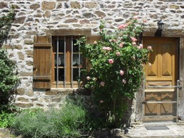 façade et son rosier ancien !