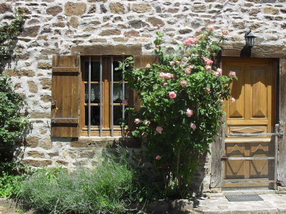 façade et son rosier ancien !