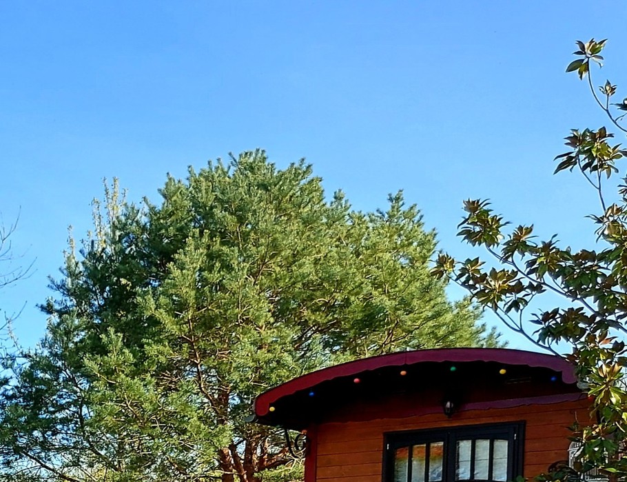 Photo n° 3 de la location