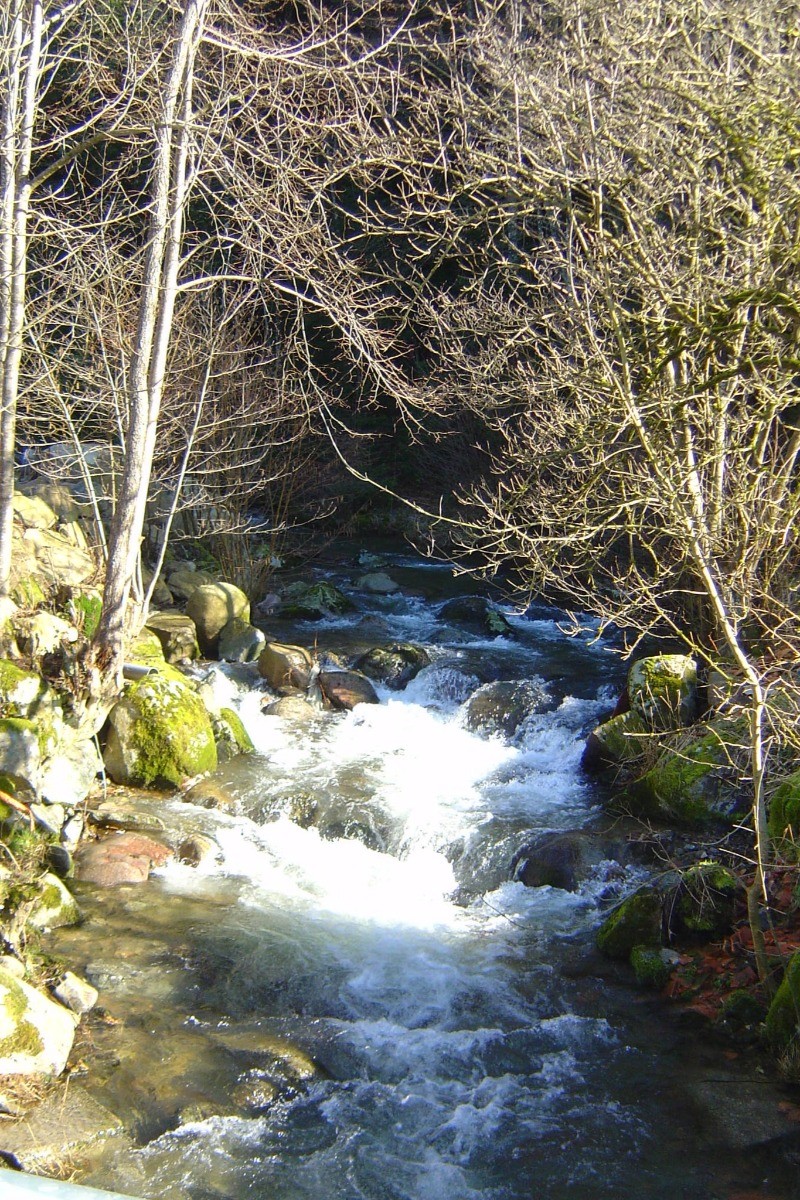 Photo n° 19 de la location