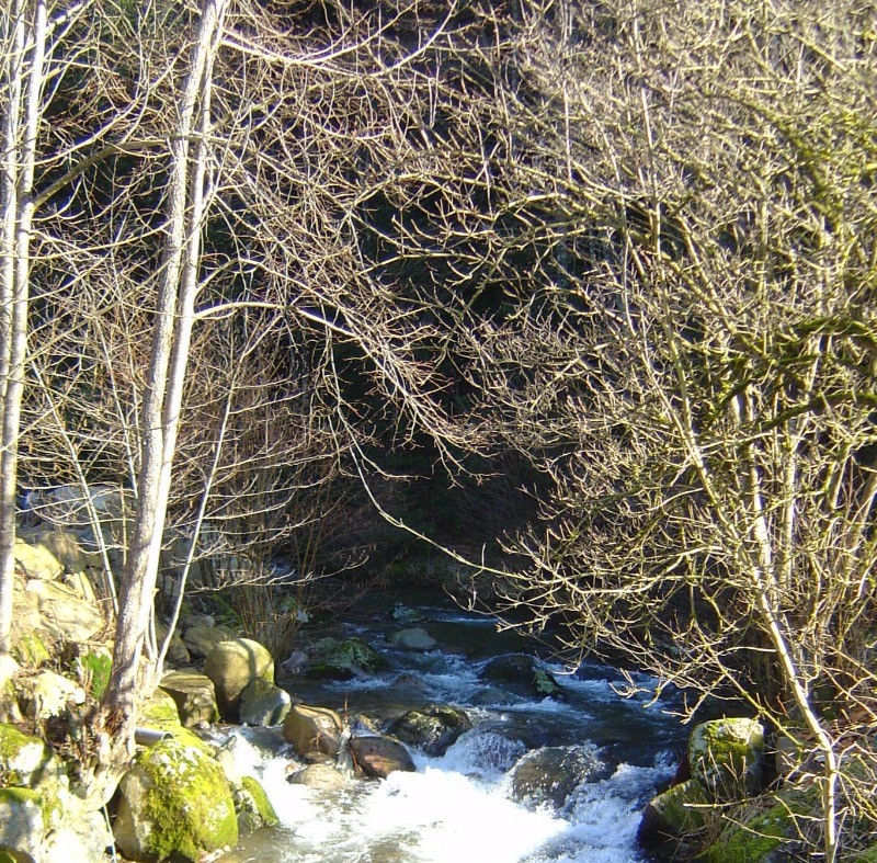 Photo n° 19 of the location