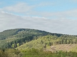 vue de la pièce de vie et de la terrasse