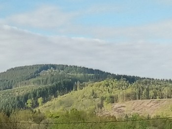 vue de la pièce de vie et de la terrasse