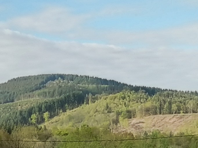 vue de la pièce de vie et de la terrasse