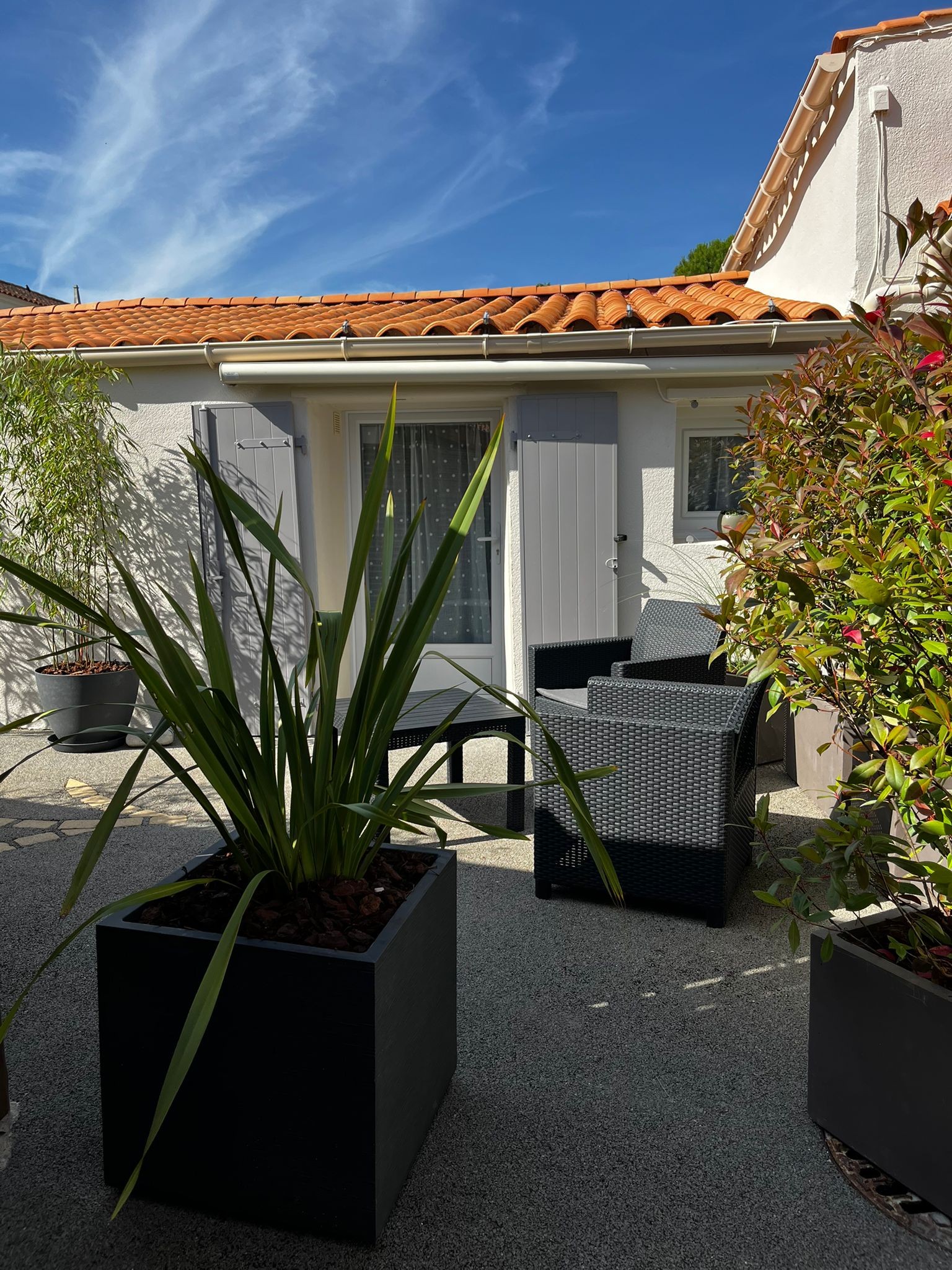 Photo n° 4 de la location