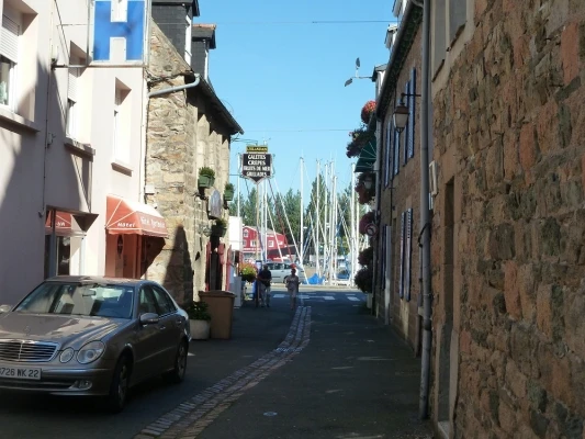 Location "Île verte" dans la maison de Marilou en plein coeur de ville (Côtes d'Armor, Bretagne)