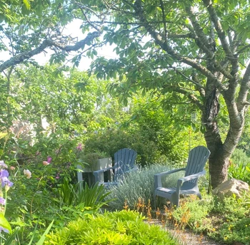 Photo n° 4 of the location