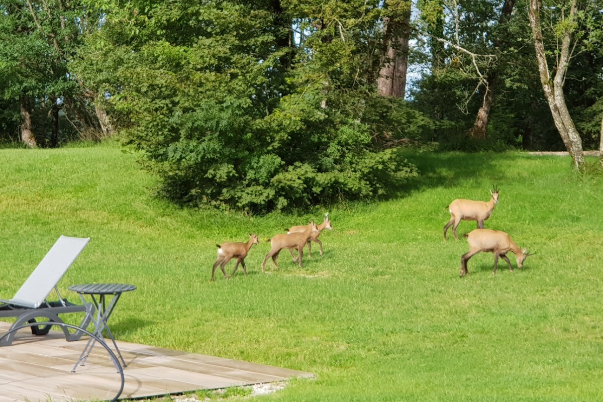 Les habitants du parc
