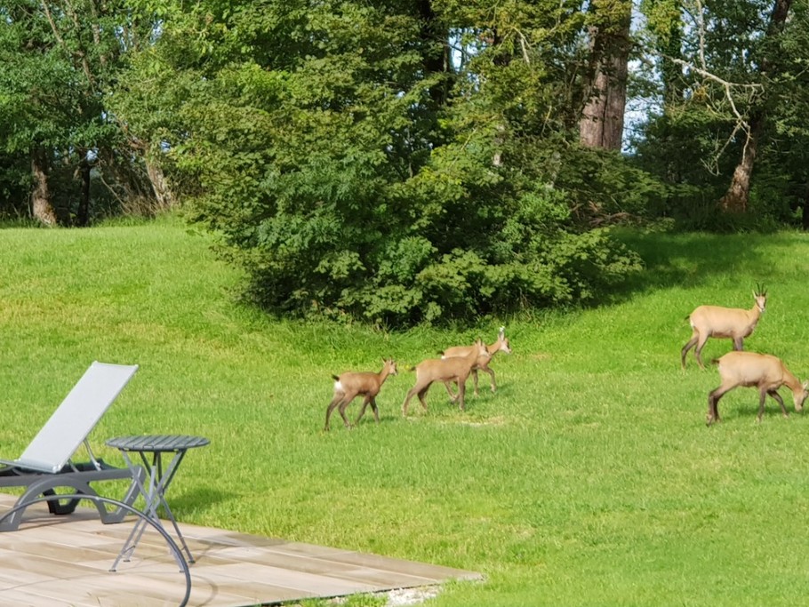 Les habitants du parc