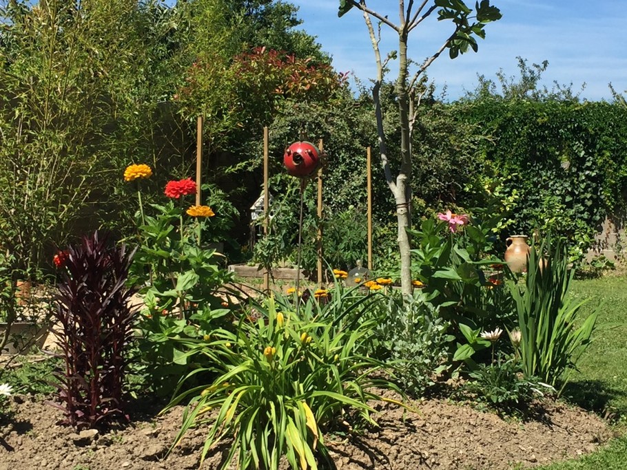 Jardin coin détente