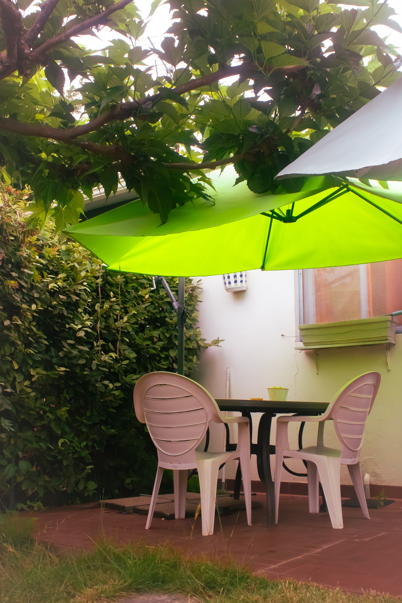 Terrasse avec mobilier de jardin