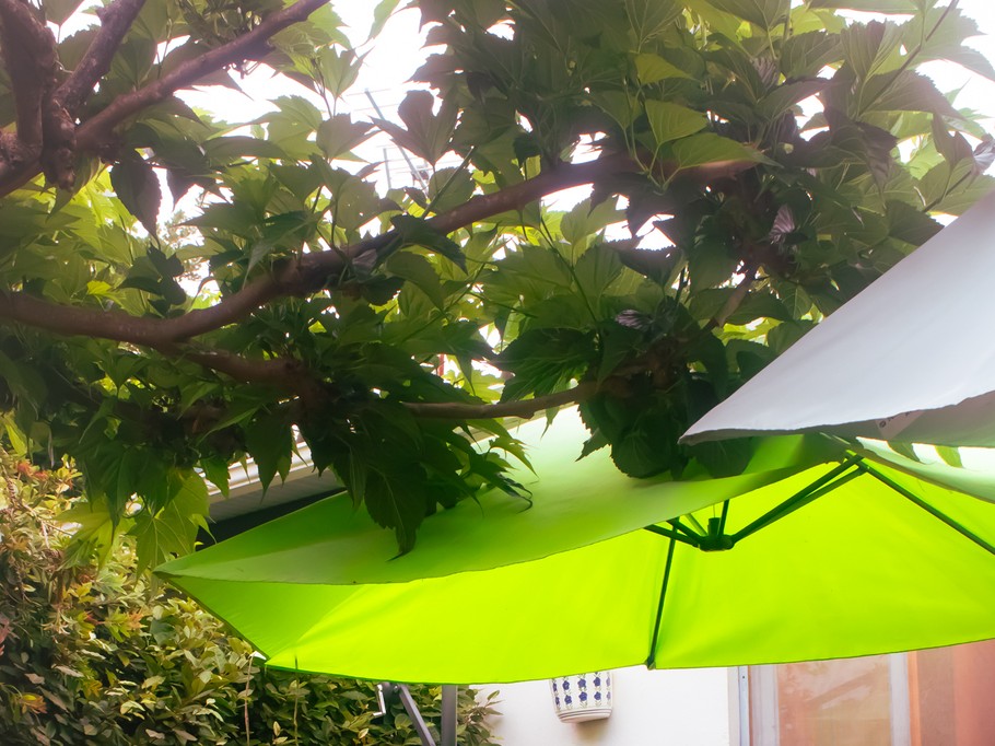 Terrasse avec mobilier de jardin