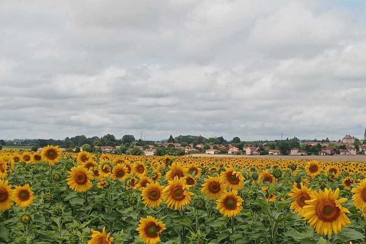 Gîtes Ain's Temps Bugey