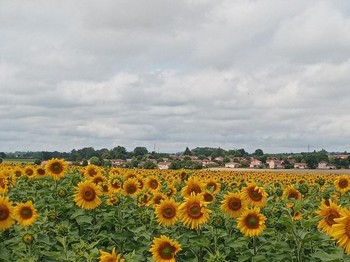 Gîtes Ain's Temps Bugey