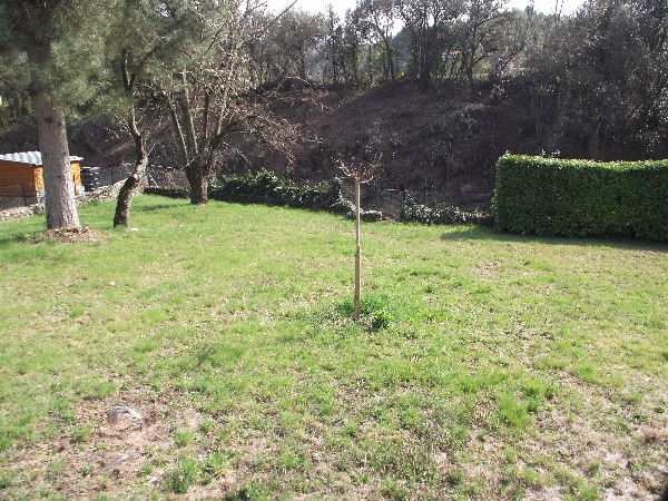 Photo n° 12 de la location