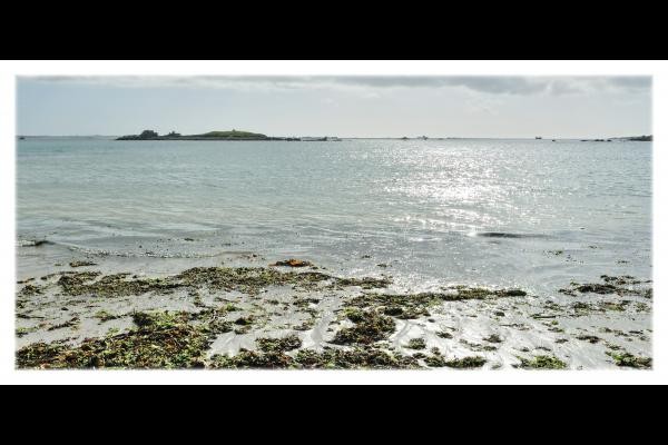 île de Guénioc