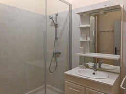 ARTEMISIA à Abbaye de Trizay en Charente maritime