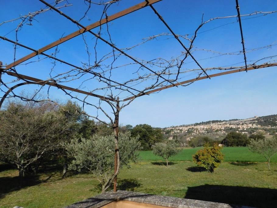 Vue de la terrasse de la location (en hiver)