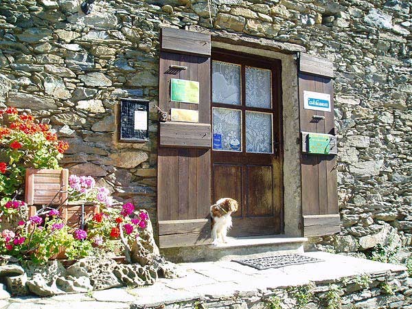Photo n° 1 of the location