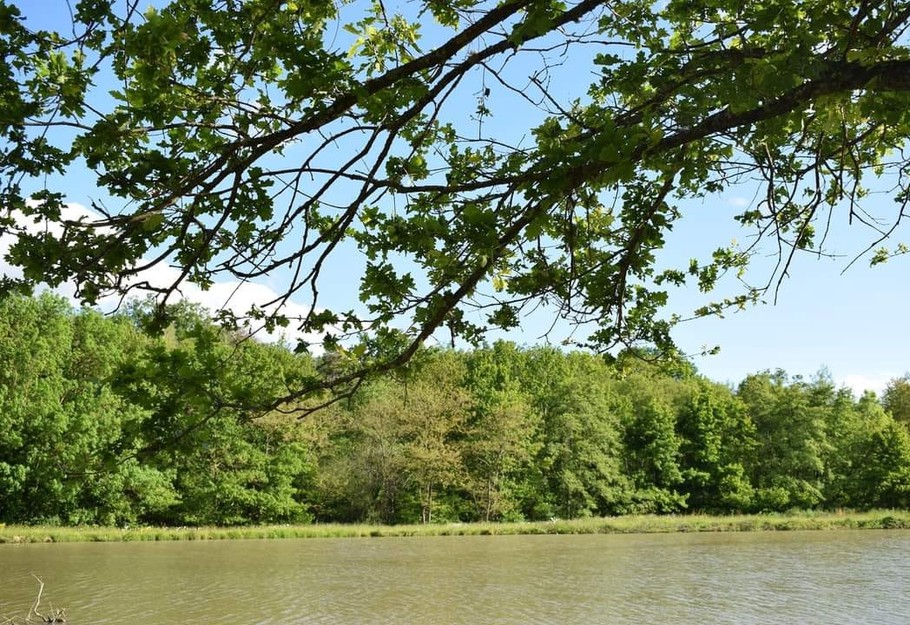 Étang privatif (pêche no kill)