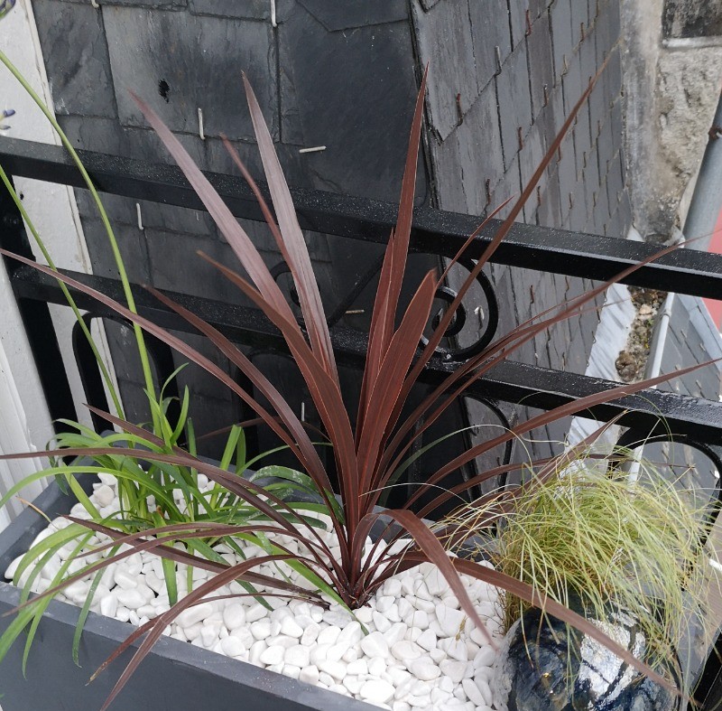 Photo n° 15 de la location